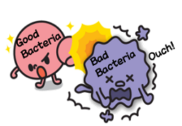 Micro Mighty,microbiologic agent,COMPLEX MICROORGANISM PREPARATION, FEED ADDITIVE,ADDITIVE FOR FEED, FEED ADDITIVE FOR LIVESTOCK,ANIMAL FEED ADDITIVE,USEFUL LIVE BACTERIUM PHARMACEUTICAL PREPARATION,PHARMACEUTICAL PREPARATION INCLUDING USEFUL LIVE BACTERIUM,mixture of ground animal feeds,mixed feed,mixe diet